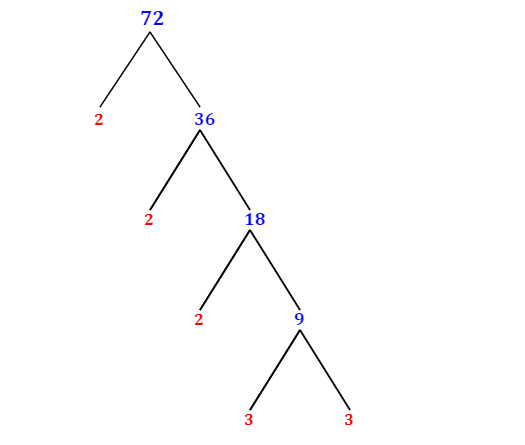 prime-factorization-of-72-with-a-factor-tree-mathondemand